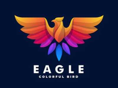 nice appearel logo